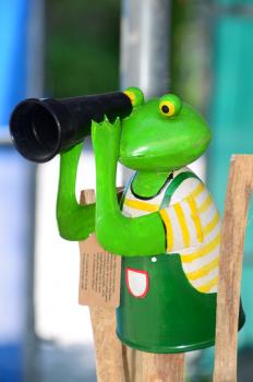 Zaunhocker Frosch Gärtner