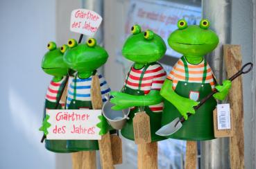 Zaunhocker Frosch Gärtner
