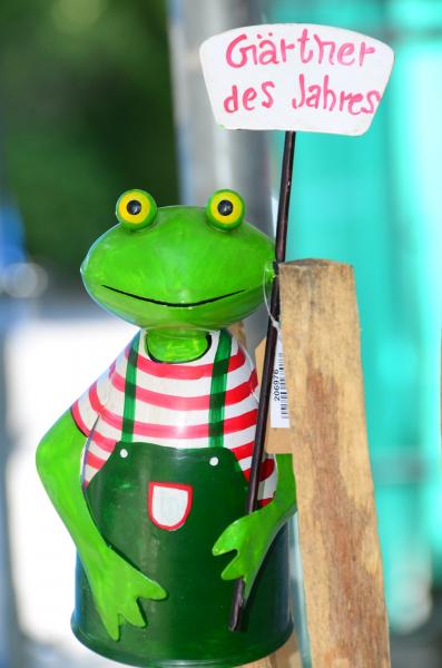 Zaunhocker Frosch Gärtner