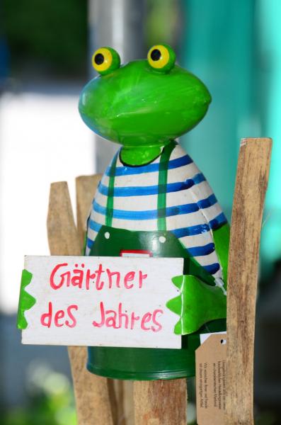 Zaunhocker Frosch Gärtner